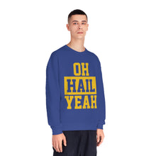 Load image into Gallery viewer, Hail! Hail! Unisex NuBlend® Crewneck Sweatshirt