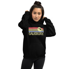 Load image into Gallery viewer, Salisbury - Retro - Unisex Hoodie